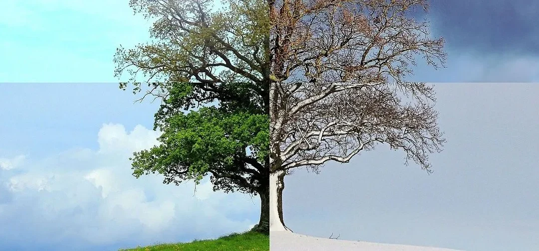 Σκλήρυνση κατά Πλάκας